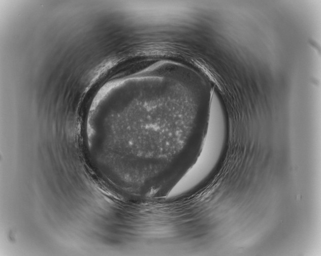 X0000094940723200712201114