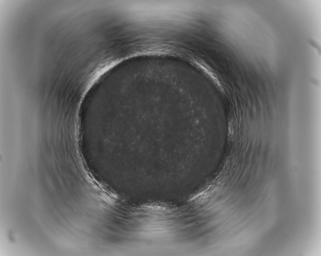 X0000094940724200712201114