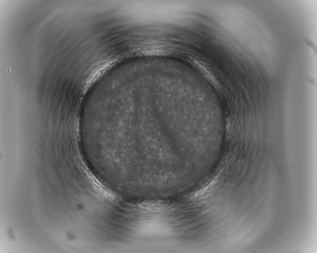 X0000094940725200712201114