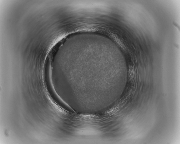 X0000094940726200712201114