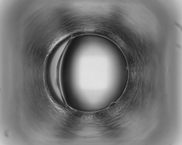 X0000094940728200712201114