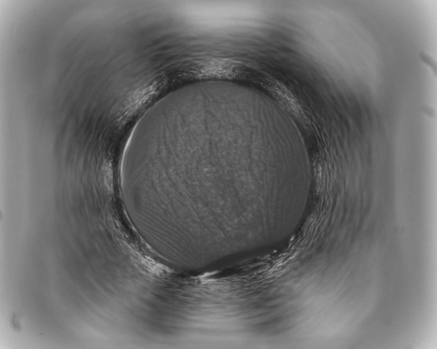 X0000094940729200712201114