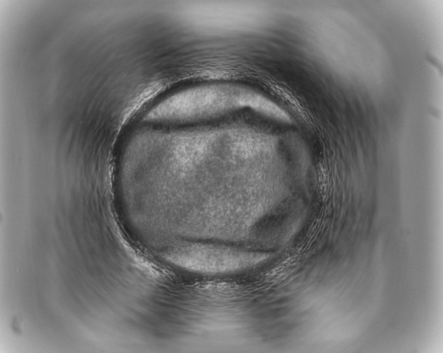 X0000094940730200712201114