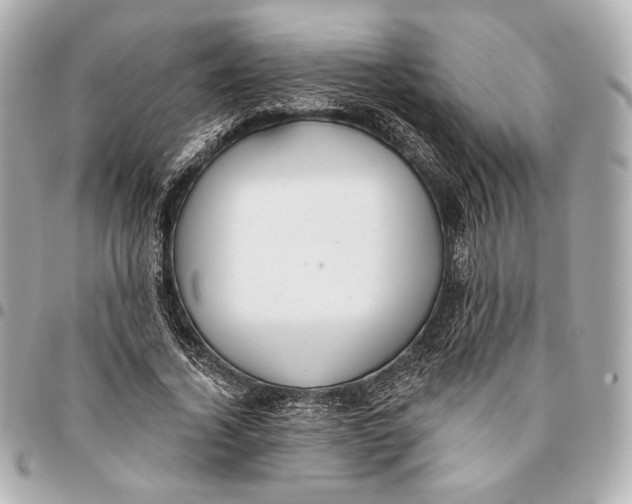 X0000094940732200712201114