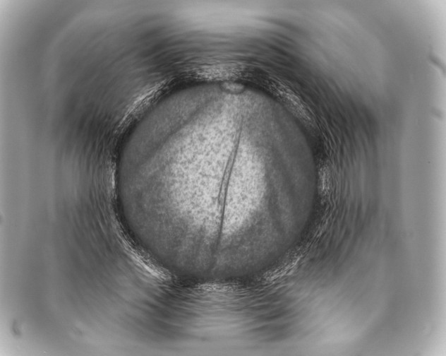 X0000094940733200712201114