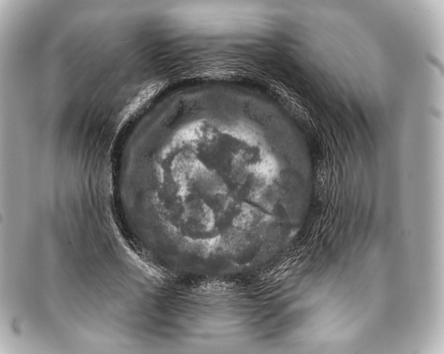 X0000094940734200712201114