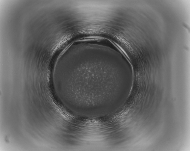 X0000094940735200712201114