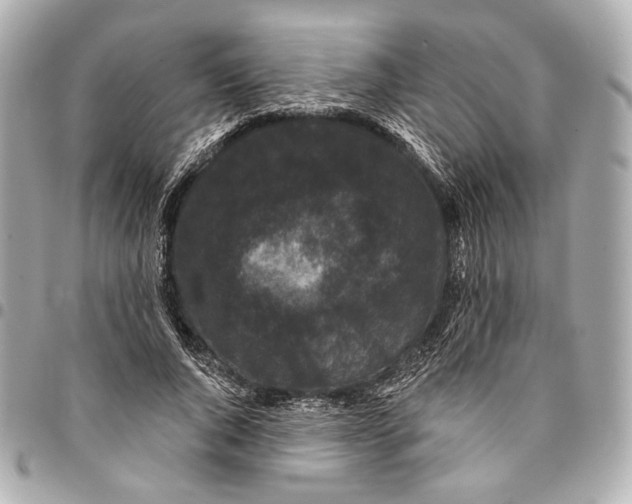 X0000094940736200712201114