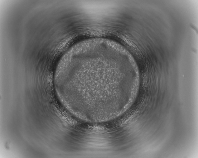 X0000094940737200712201114