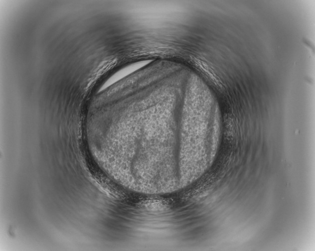 X0000094940738200712201114