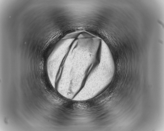 X0000094940739200712201114