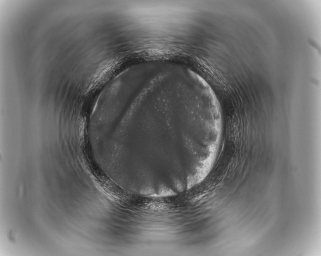 X0000094940742200712201114