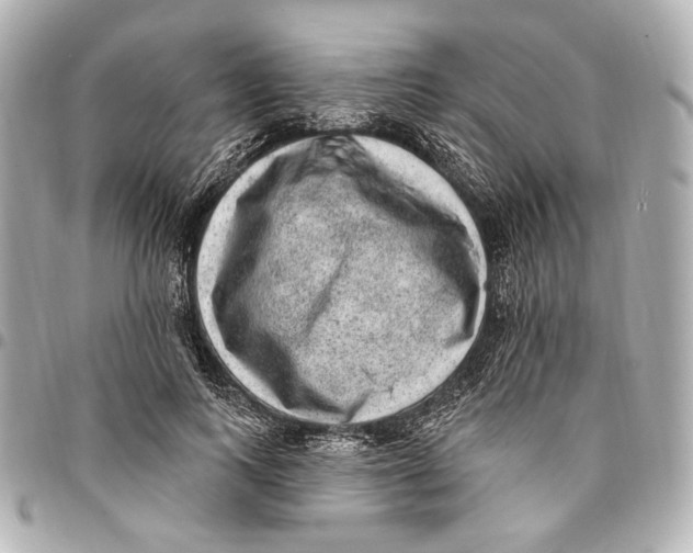 X0000094940743200712201114