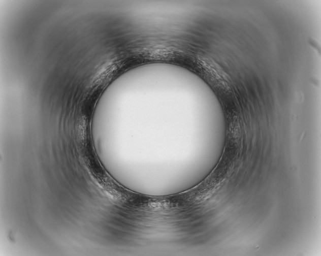 X0000094940744200712201114