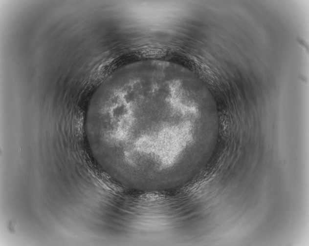 X0000094940745200712201114