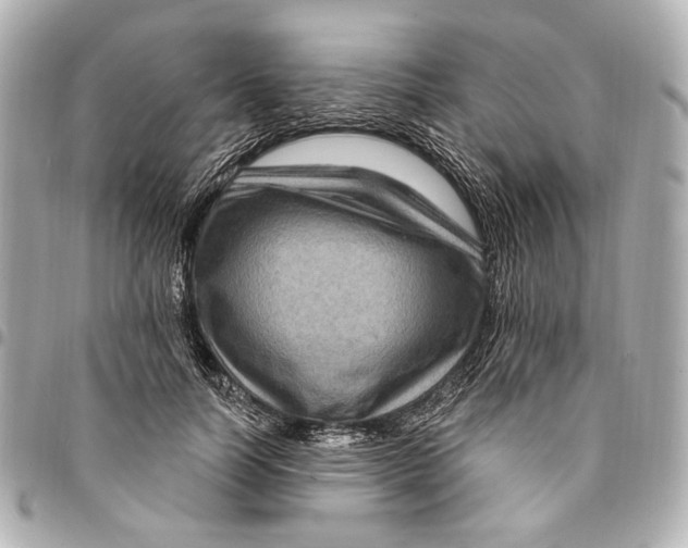 X0000094940746200712201114