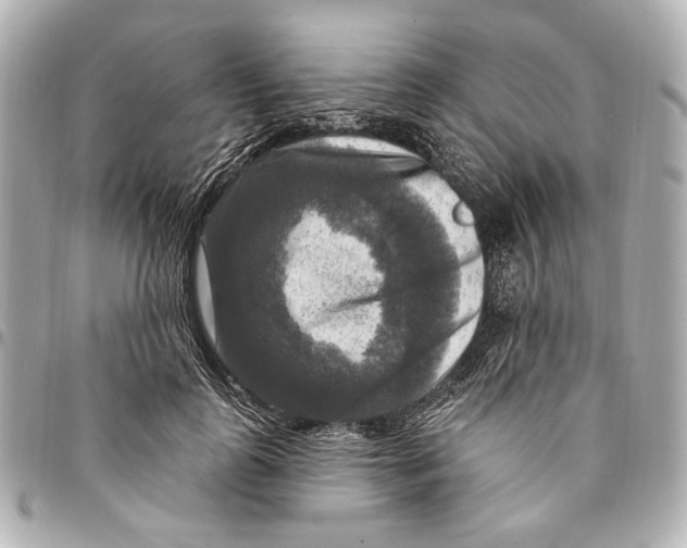 X0000094940747200712201114