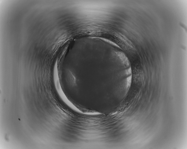 X0000094940748200712201114