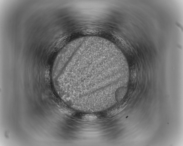 X0000094940749200712201114