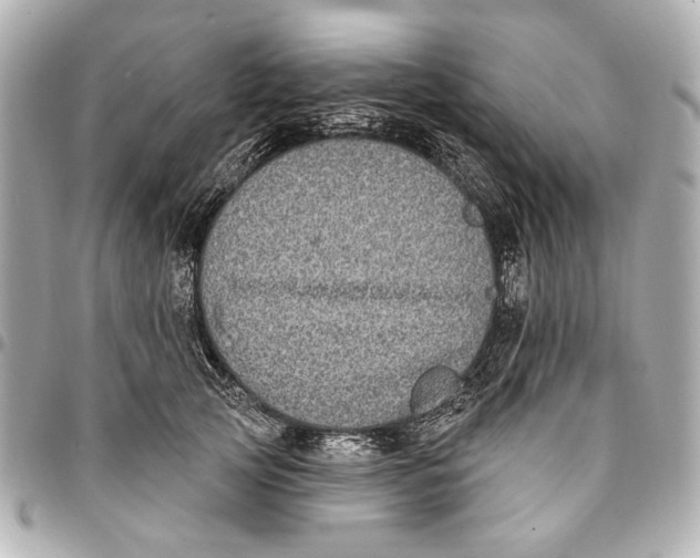 X0000094940753200712201114