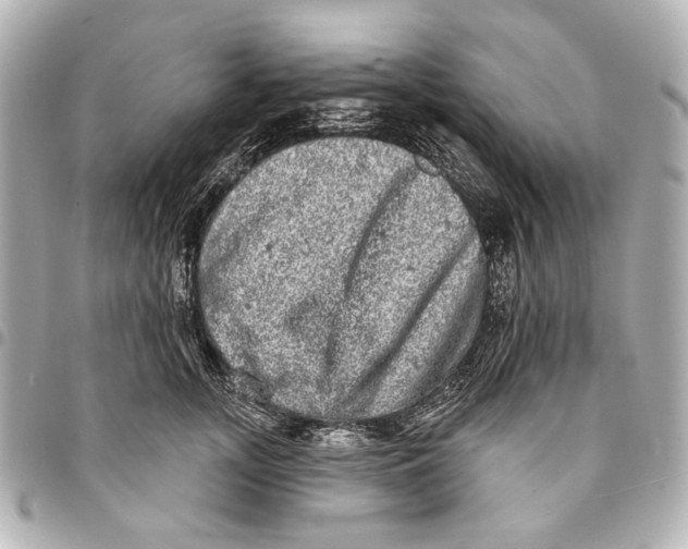 X0000094940755200712201114