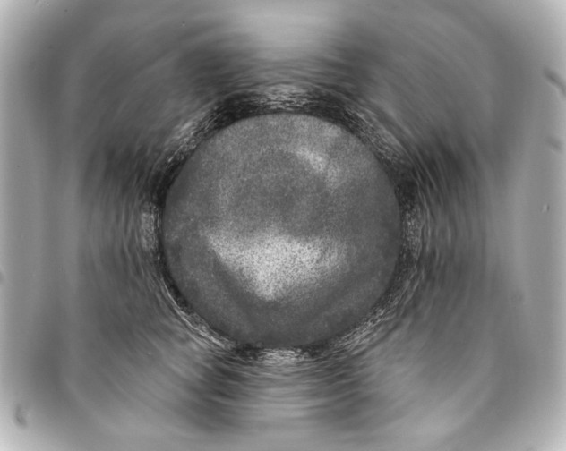 X0000094940757200712201114