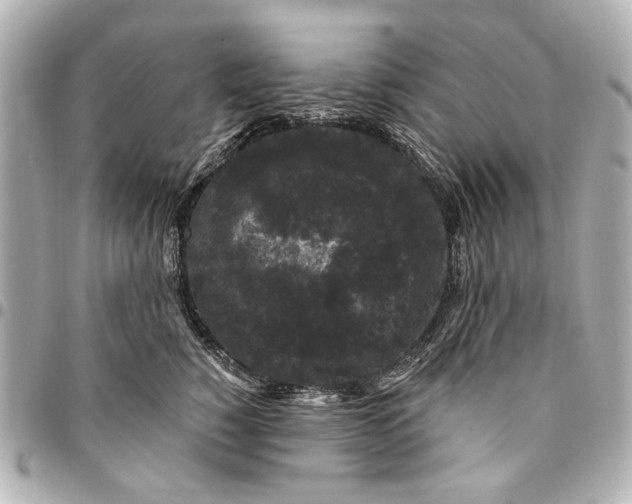 X0000094940760200712201114