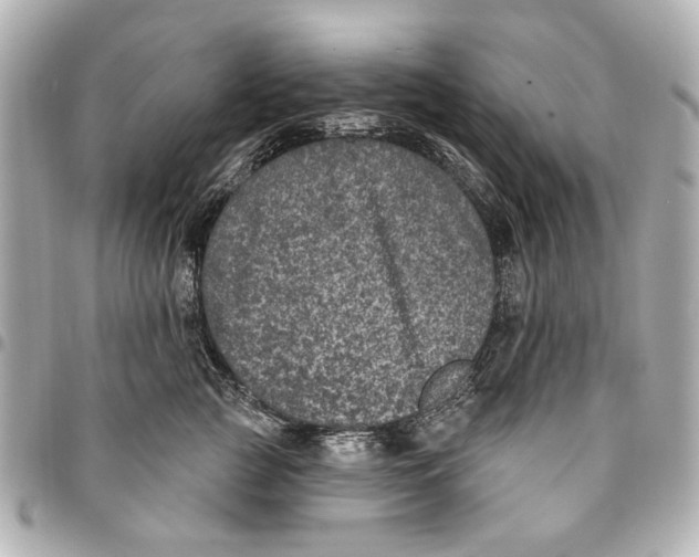 X0000094940761200712201114