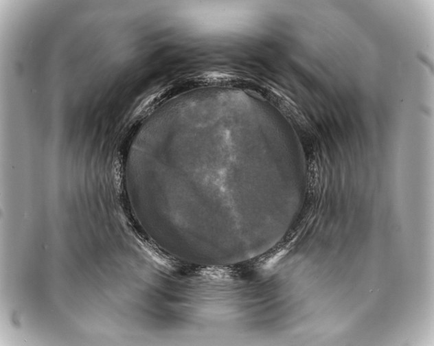 X0000094940762200712201114