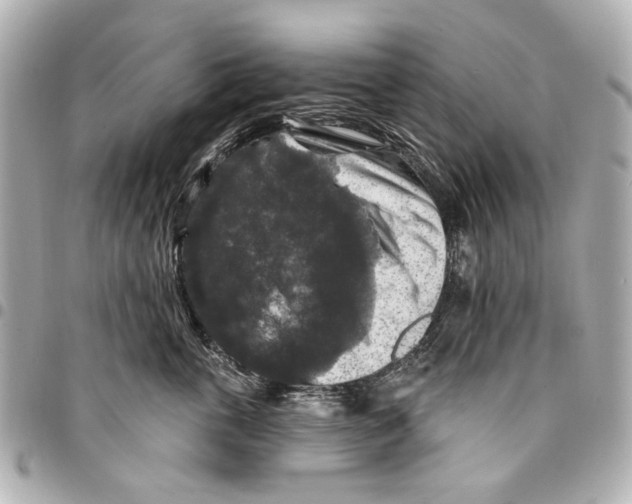 X0000094940763200712201115