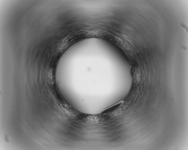 X0000094940764200712201115