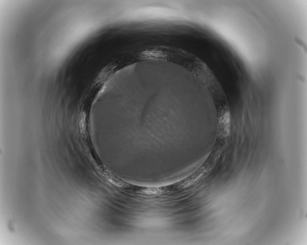 X0000094940765200712201115