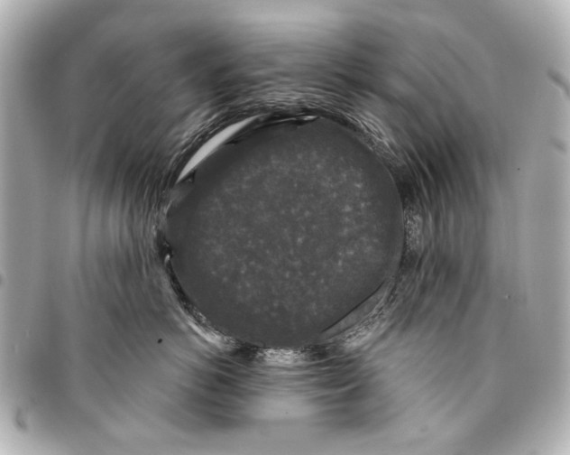 X0000094940766200712201115