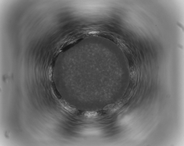 X0000094940767200712201115