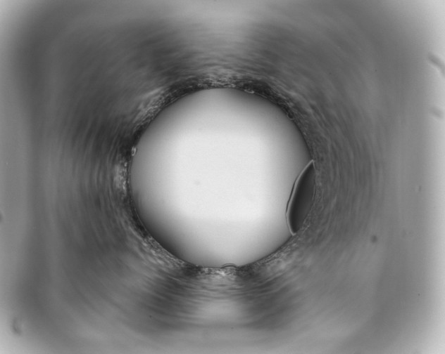 X0000094940768200712201115