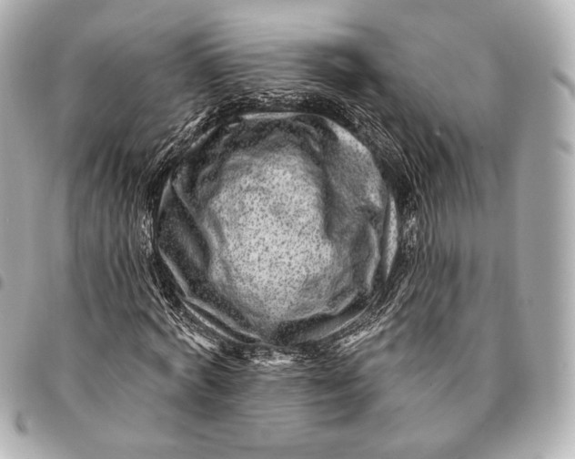 X0000094940772200712201114