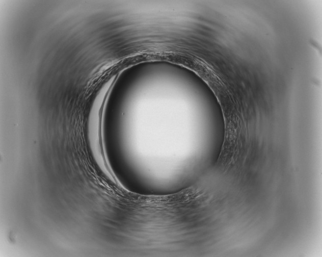 X0000094940773200712201114