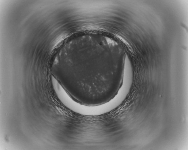 X0000094940775200712201114