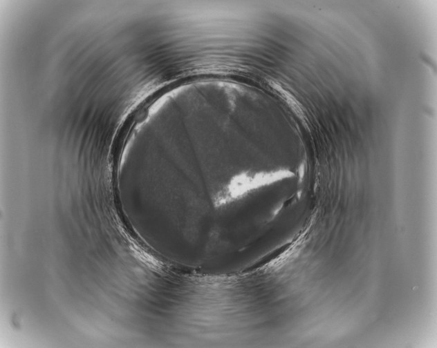 X0000094940779200712201114