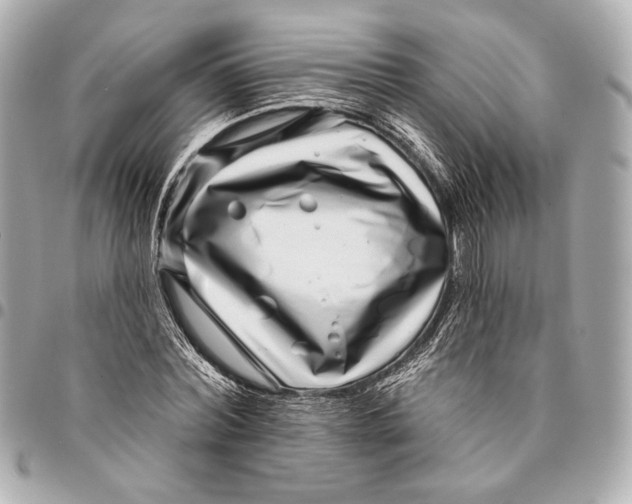 X0000094940780200712201114