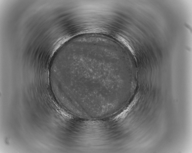 X0000094940781200712201114