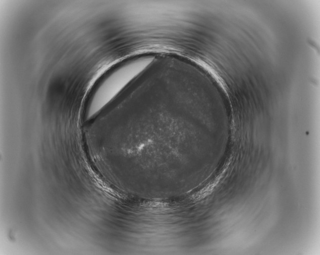 X0000094940783200712201114