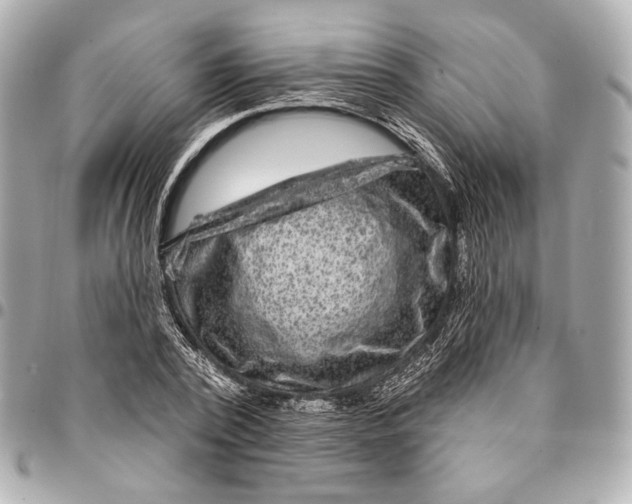 X0000094940784200712201114