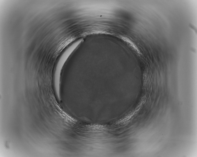 X0000094940785200712201114