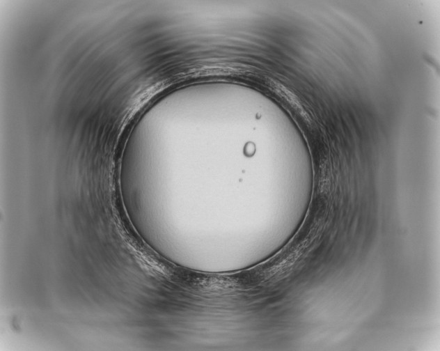 X0000094940786200712201114