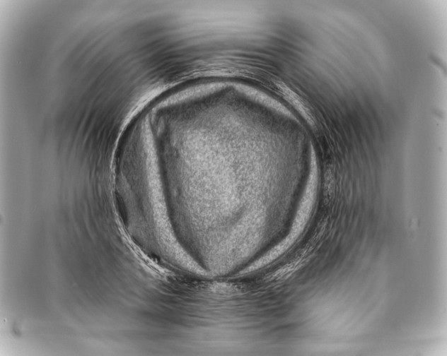 X0000094940787200712201114