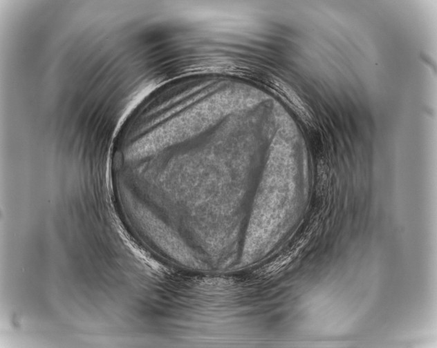 X0000094940788200712201114