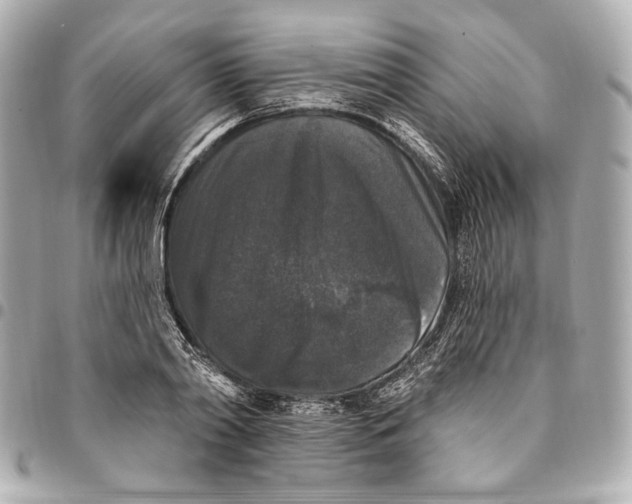 X0000094940790200712201114