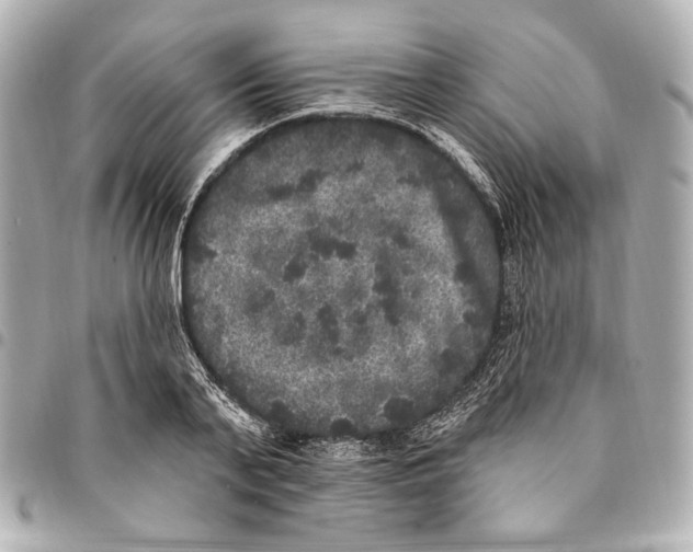 X0000094940791200712201114