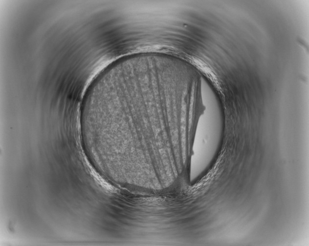 X0000094940792200712201114